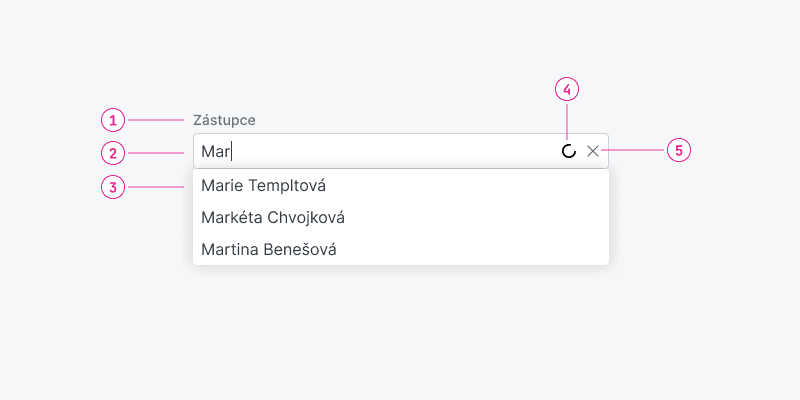 Ukázka Autocomplete – Autocomplete Ovr